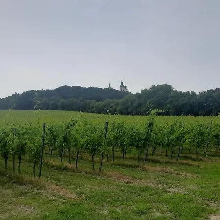 Krakow-bielany 公寓 *